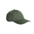 AS Colour The Access Cap | Adults Cypress Headwear