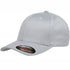 Flexfit The Flexfit Worn by the World Cap Silver Hats