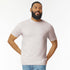 Gildan The Softstyle Crew Neck Tee | Adults Ice Grey Shirts & Tops