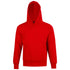 Winning Spirit The Passion Contrast Hoodie | Kids Red Outerwear