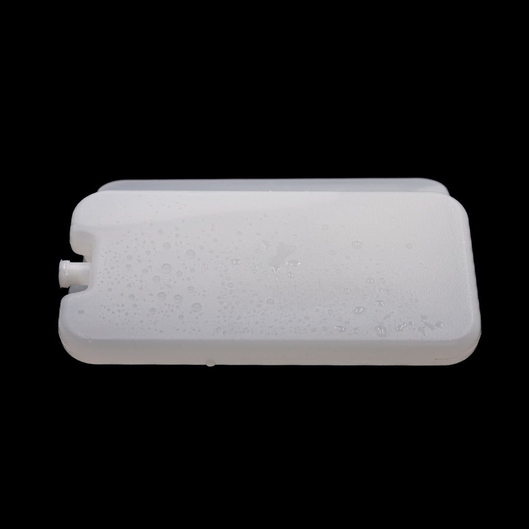 House of Uniforms The Cooler Brick Insulated Bags