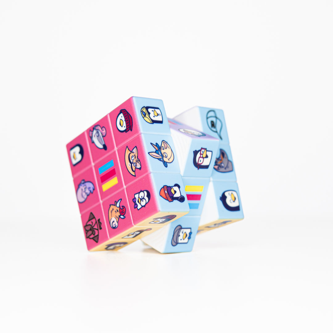 HOUville The HOUville Puzzle Cube Outdoor Games