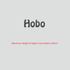 House of Uniforms Embroidery | Personal Names | Medium House of Uniforms Hobo