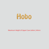 House of Uniforms Embroidery | Personal Names | Medium House of Uniforms Hobo