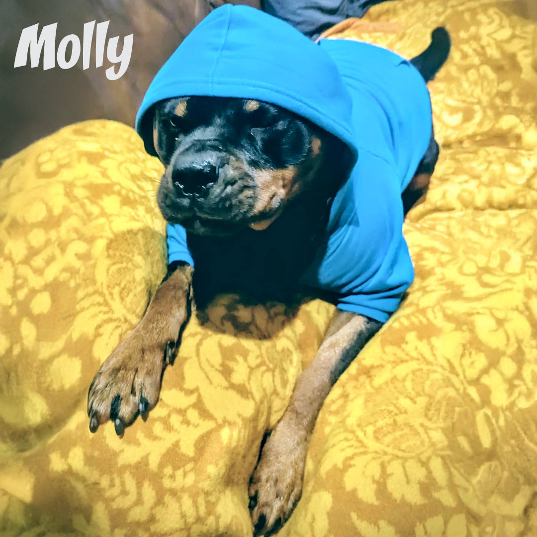 Ramo The Dog Hoodie Accessories