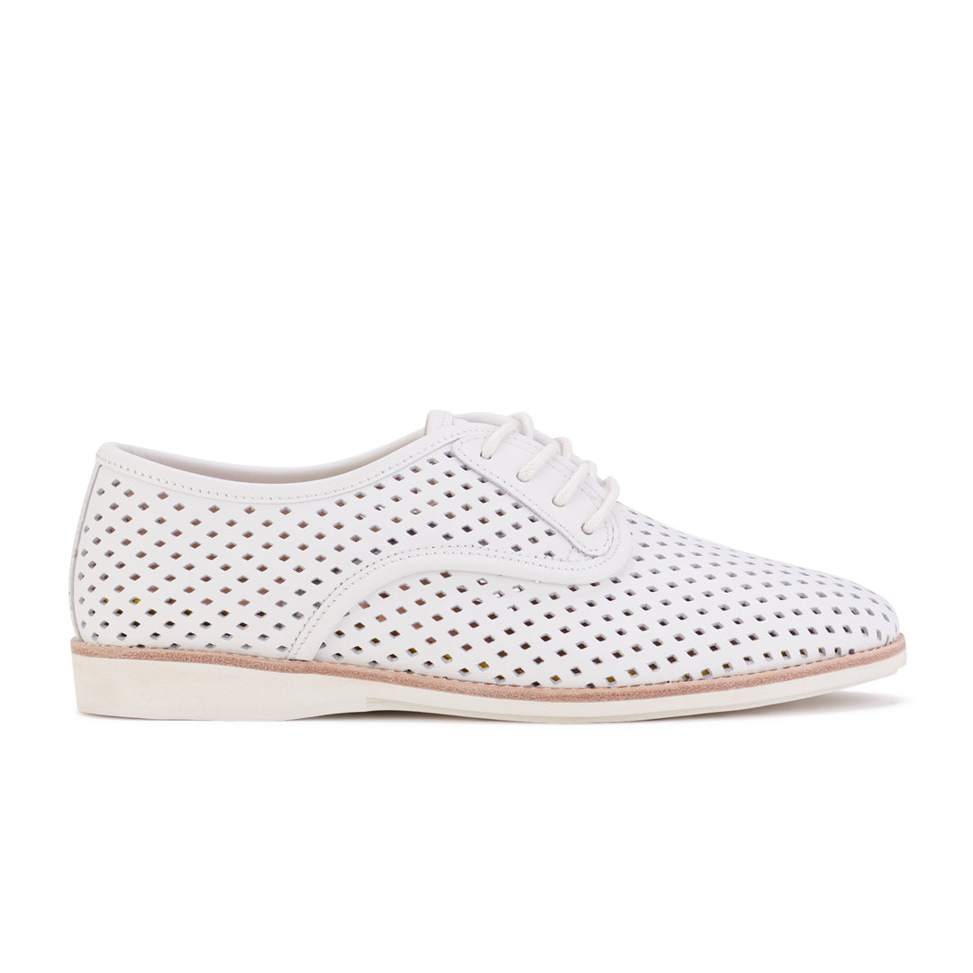 Rollie The Derby Punch | Ladies Shoes