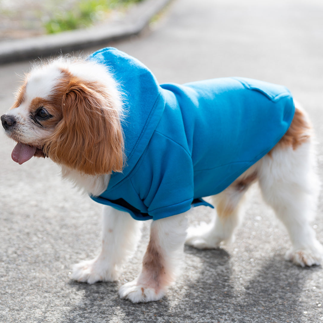 Ramo The Dog Hoodie Accessories