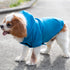 Ramo The Dog Hoodie Accessories
