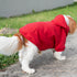 Ramo The Dog Hoodie Accessories