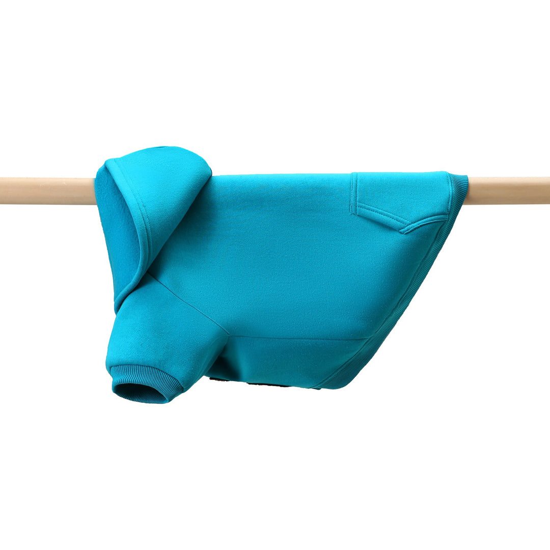 Ramo The Dog Hoodie Accessories