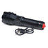 Ion Grit The Lumina Pro Torch Outdoor Games