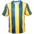 Bocini The Striped Soccer Jersey | Kids Bottle/Gold Soccer Uniforms