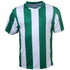 Bocini The Striped Soccer Jersey | Kids Emerald/White Soccer Uniforms