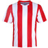 Bocini The Striped Soccer Jersey | Kids Red/White Soccer Uniforms