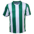 Bocini The Striped Soccer Jersey | Mens Emerald/White Soccer Uniforms