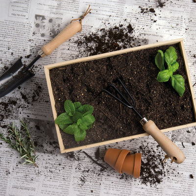 Po 'Di Fame The Dig It Garden Set Wood Gardening Tools
