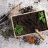 Po 'Di Fame The Dig It Garden Set Wood Gardening Tools