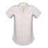 Biz Collection The Madison Shirt | Ladies | Short Sleeve Ivory Shirts & Tops