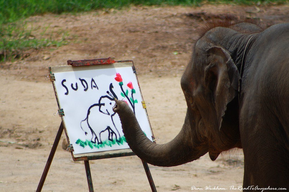 elephant-painting-chiang-mai elephant-painting-chiang-mai